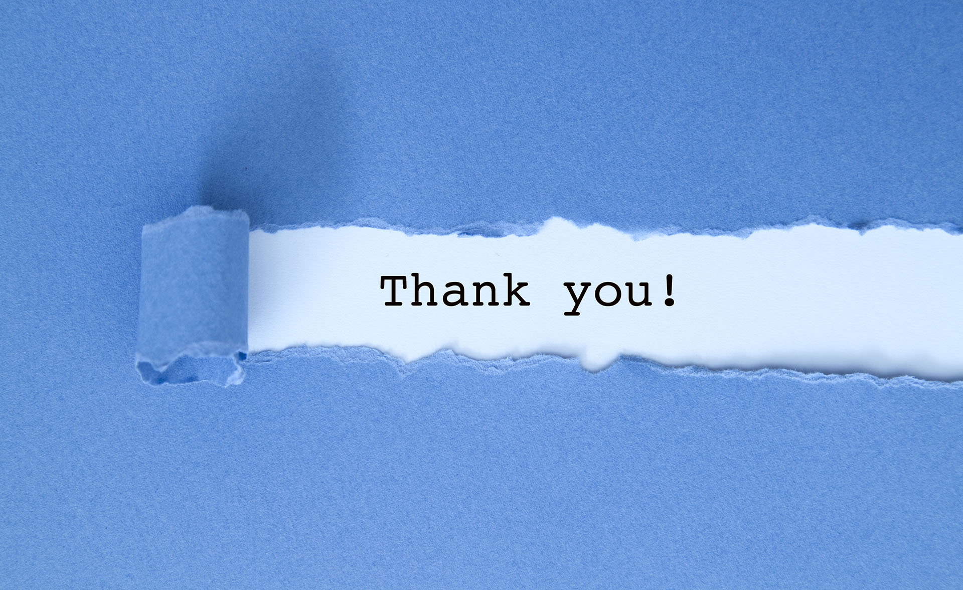 Thank you message under blue torn paper. | Toucan Computing